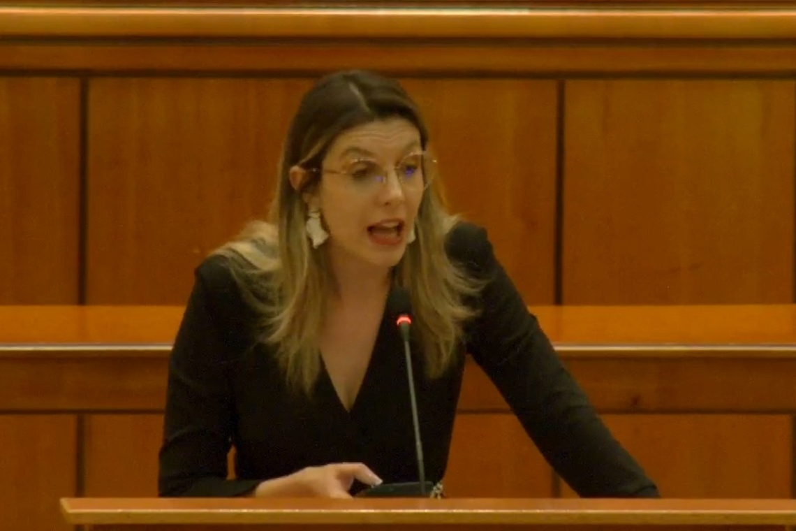 Moțiunea împotriva ministrului Mediului a trecut! AUR Prahova: Premierul Bolojan trebuie să o demită pe Diana Buzoianu