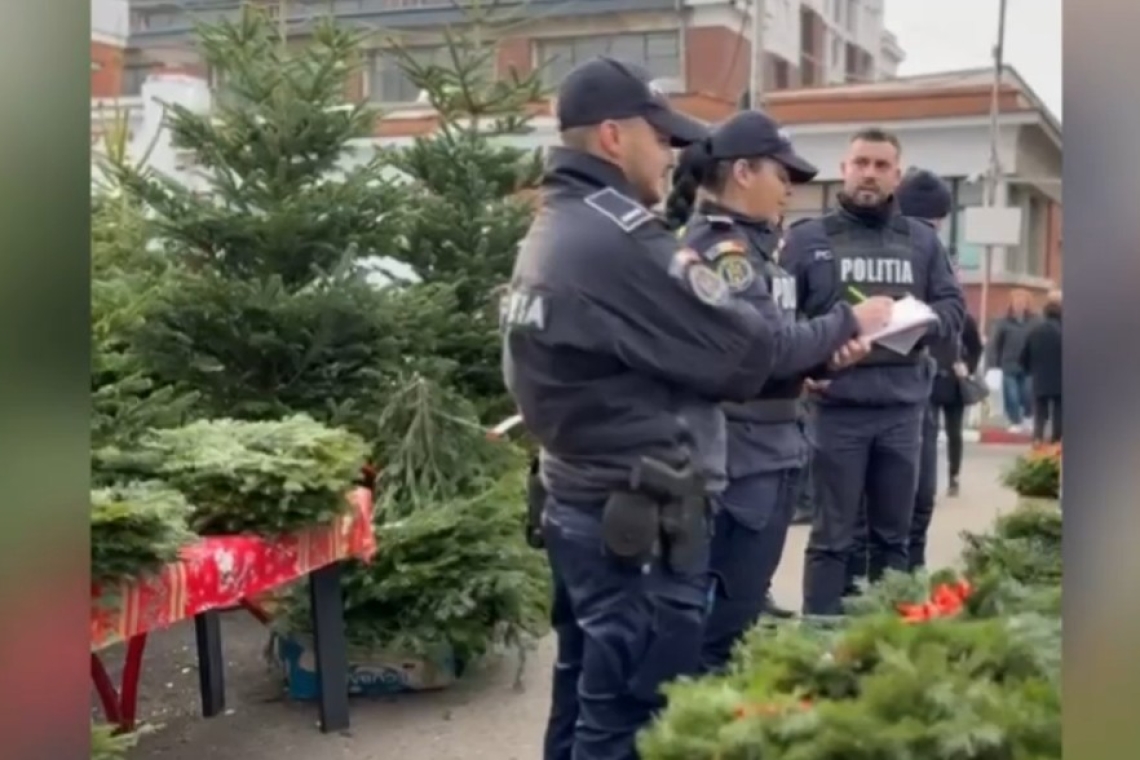Acțiunea polițiștilor în zona Halelor Centrale din Ploiești: zeci de coronițe de brad confiscate
