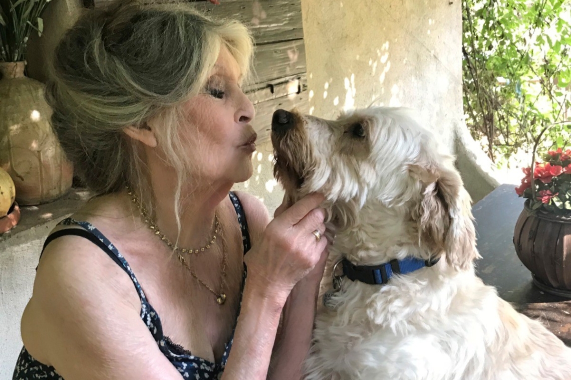 Brigitte Bardot, emblemă a cinematografiei franceze, s-a stins din viață, la vârsta de 91 de ani