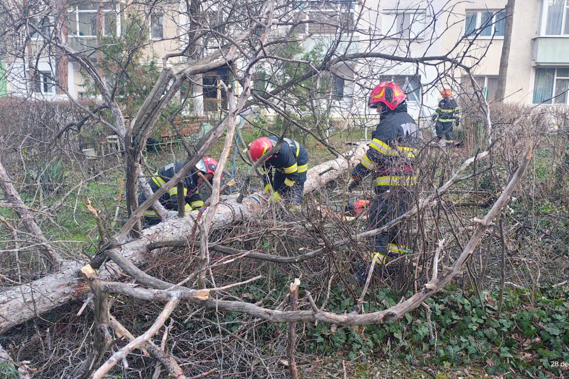 Cod roșu de vânt în Prahova | Zeci de intervenții ale pompierilor pentru îndepărtarea copacilor căzuți pe linii electrice sau pe garduri