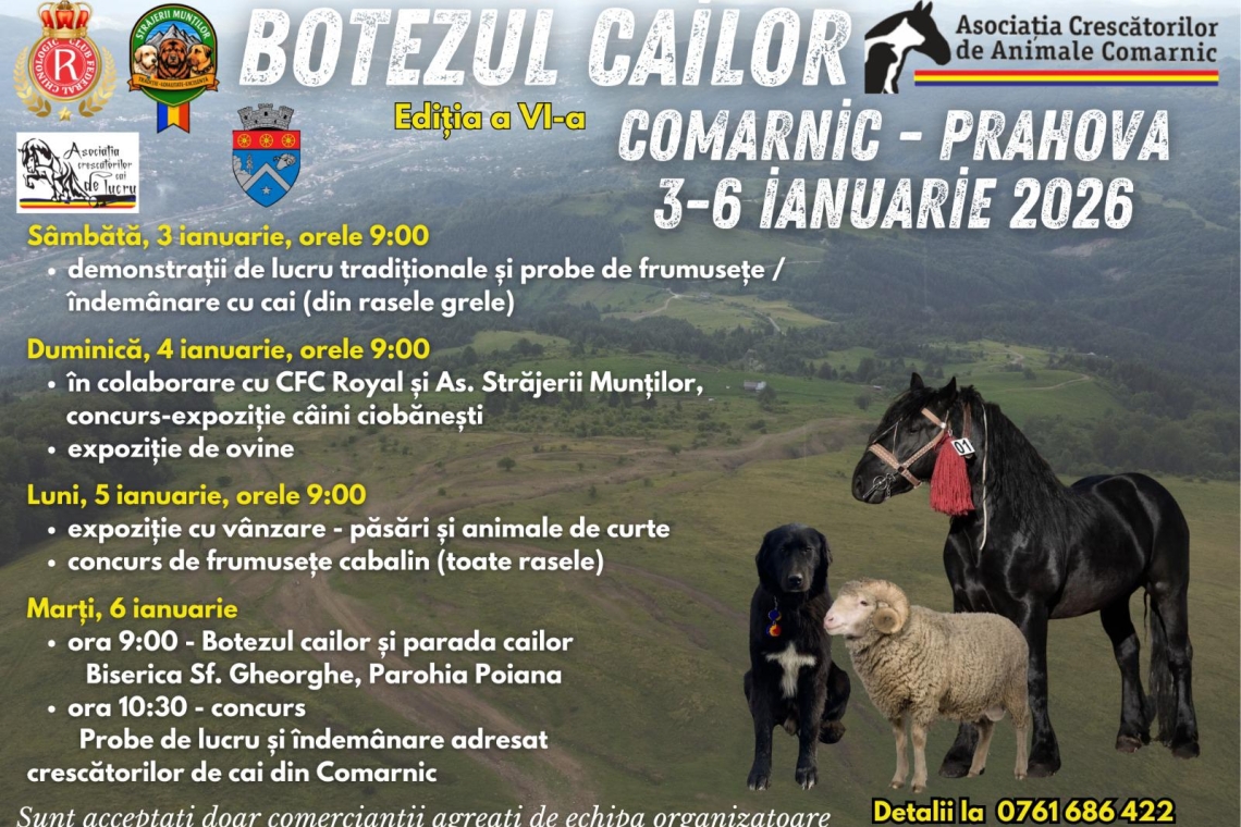 Comarnic găzduiește „Botezul Cailor”, între 3 și 6 ianuarie 2026