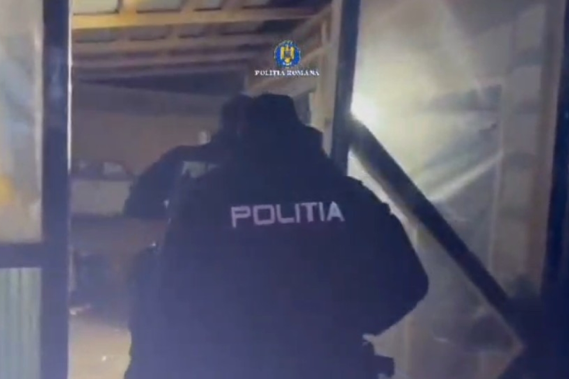 Descinderi matinale ale ”mascaților” în Lipănești. Percheziții într-un dosar de furt calificat