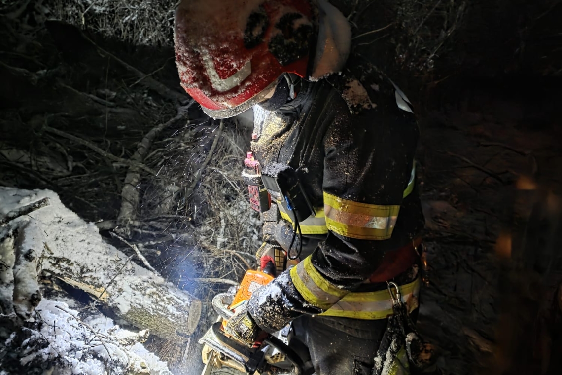 Drumul de acces spre cartierul Seciu din Boldești-Scăeni, blocat de cinci arbori căzuți. Pompierii au intervenit pentru eliberarea drumului