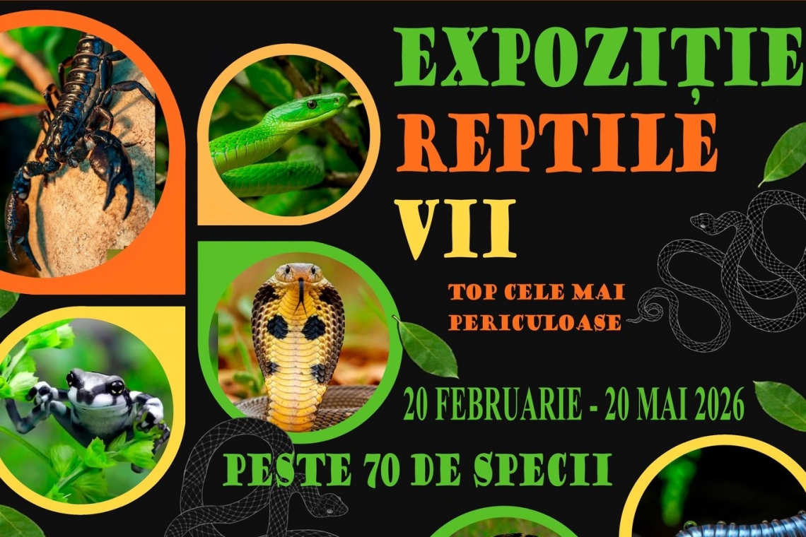 Peste 70 de specii exotice în expoziția „Reptile vii”, la Muzeul Județean de Științele Naturii Prahova