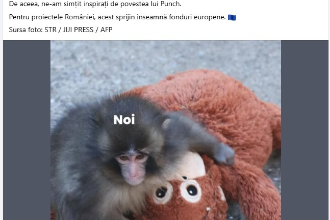 Gafă de comunicare la Ministerul Investițiilor și Proiectelor Europene. România, comparată cu o maimuță, într-un mesaj oficial!