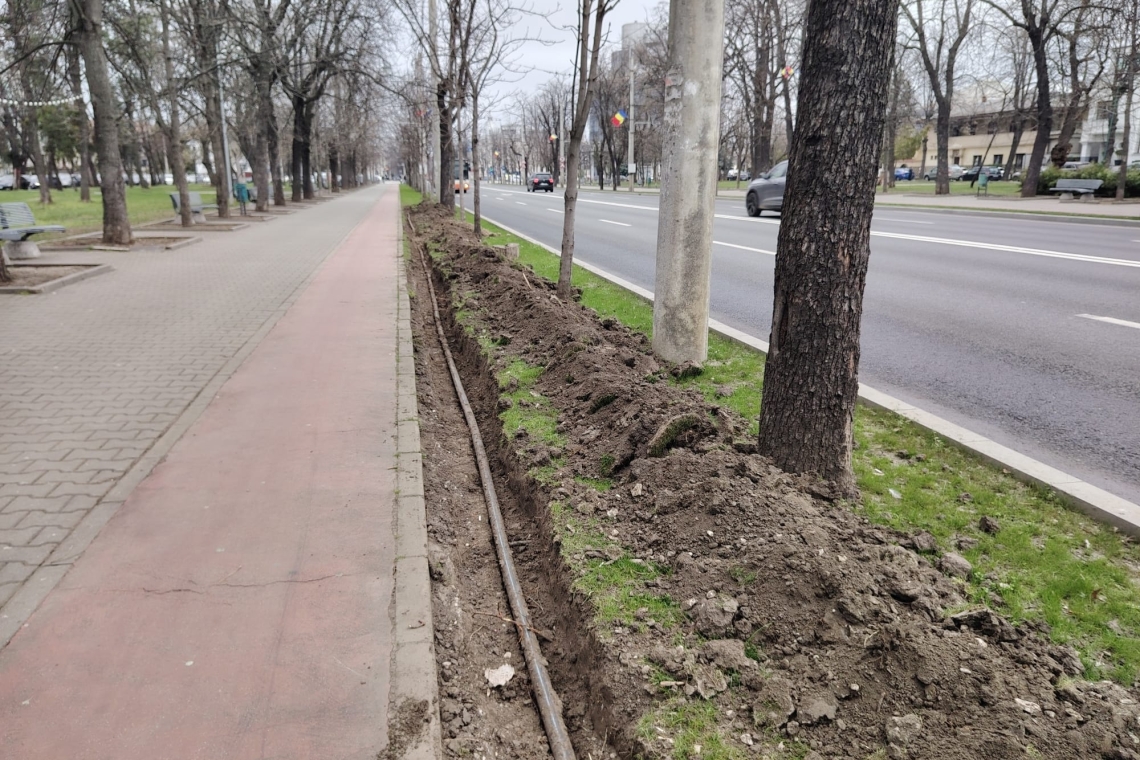 SGU Ploiești a demarat lucrări pentru un sistem de irigații pe Bulevardul Castanilor