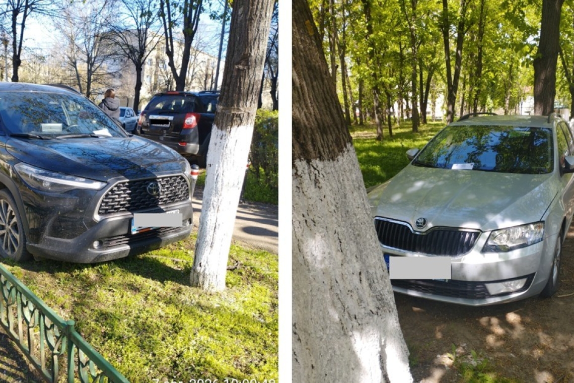 Amenzi de 7.500 de lei pentru șoferii care au parcat pe spații verzi din Ploiești