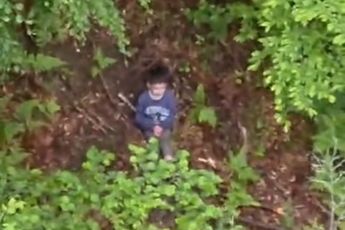Băiețelul pierdut în pădure și căutat trei zile a fost găsit în viață! A fost văzut din elicopter, într-un luminiș