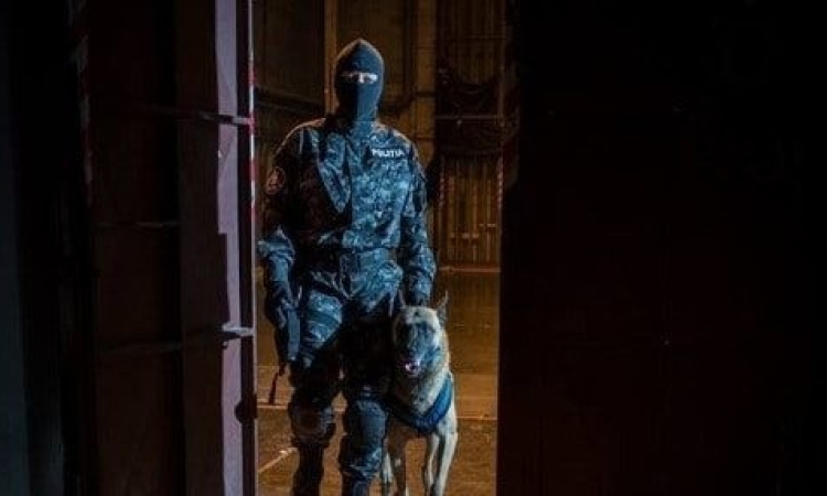 Aviz „scandalagiilor”: se dublează amenzile pentru tulburarea liniștii publice