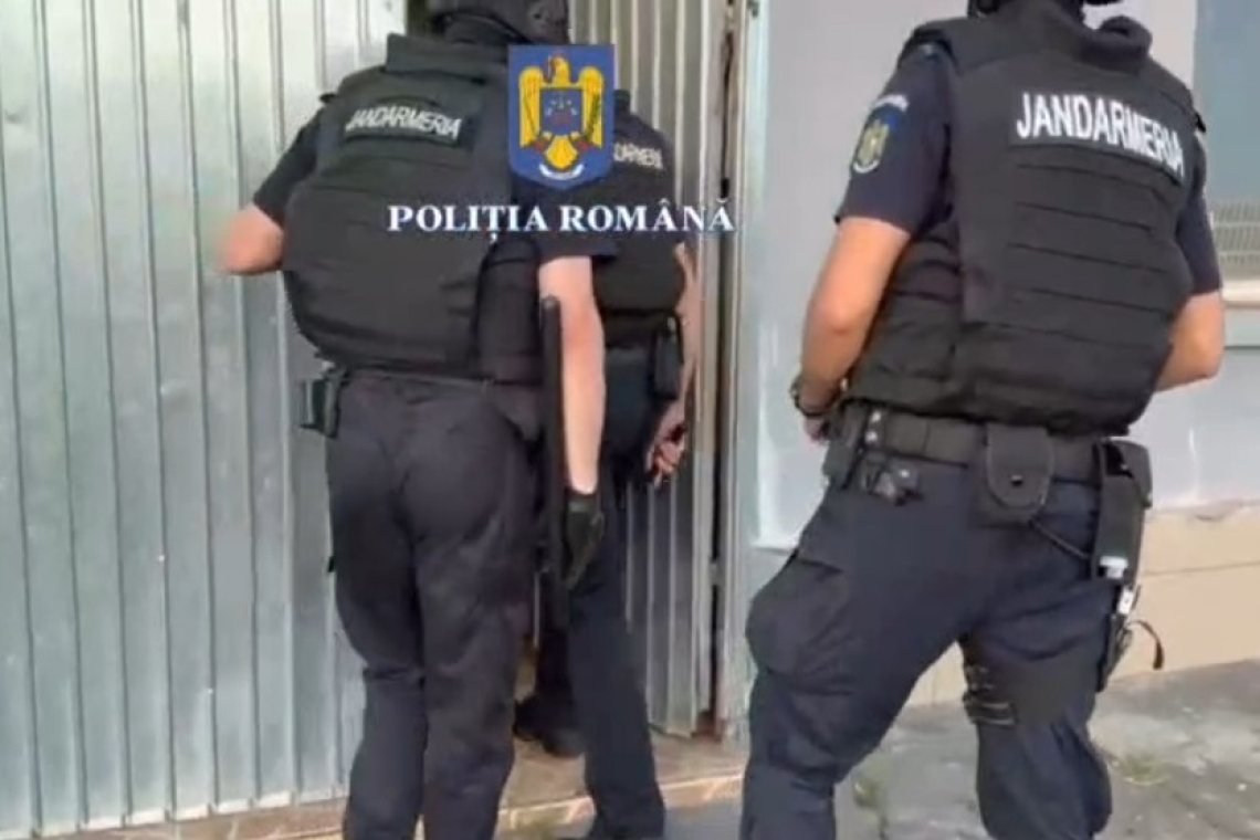 Percheziții în Prahova într-un dosar de tăieri ilegale de arbori. Doi bărbați au fost reținuți