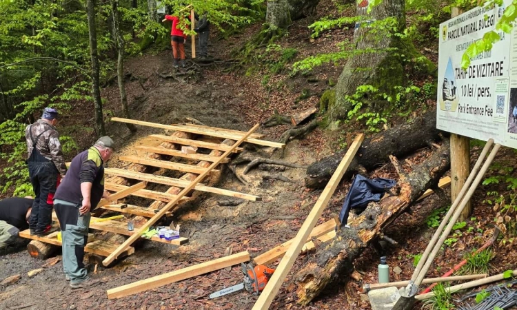 Lucrările de reamenajare pe traseul Bușteni – Cascada Urlătoarea - în desfășurare, pentru siguranța turiștilor