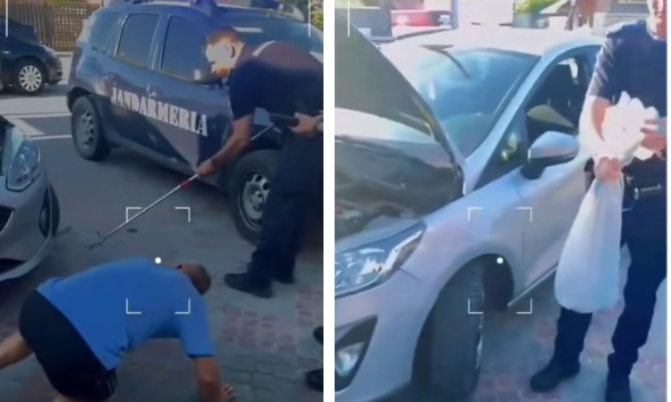 Șarpe la motorul unei mașini, în Podenii Noi! Jandarmii au intervenit pentru capturarea reptilei
