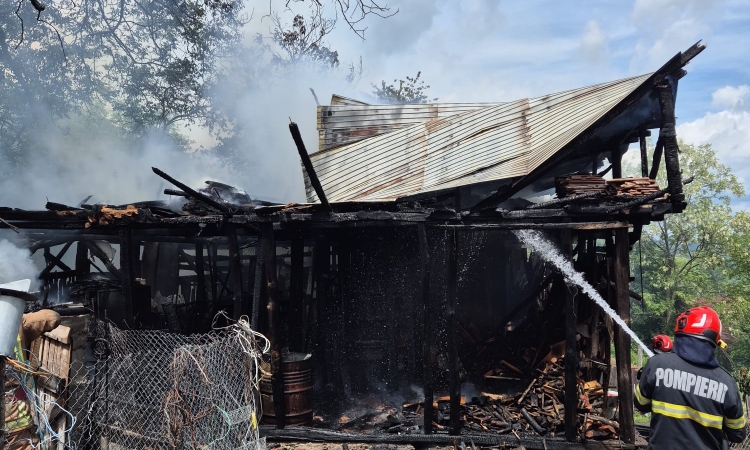 Incendiu în Poiana Câmpina. O persoană a suferit un atac de panică