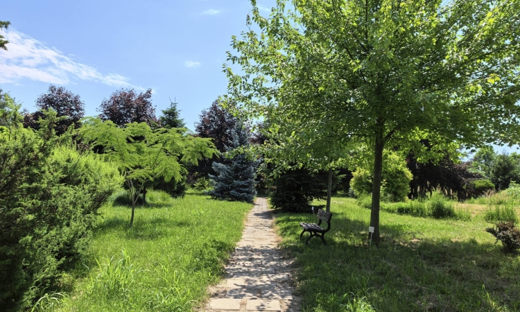 Grădina Botanică Bucov – o oază de natură la câțiva pași de Ploiești