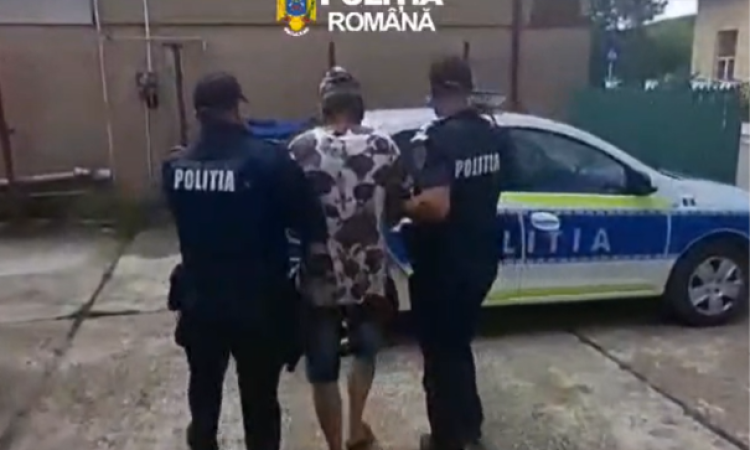 Bărbat din Urlați, reținut după ce a ucis un câine. Animalul a fost găsit spânzurat de un copac