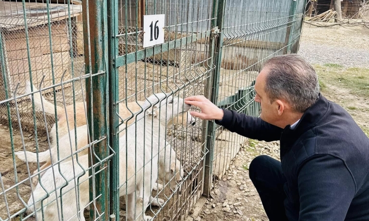 Consiliul Județean Prahova alocă încă un milion de lei pentru noul adăpost pentru câinii fără stăpân din Ploiești. Virgil Nanu: „Promisiunile trebuie susținute prin fapte”