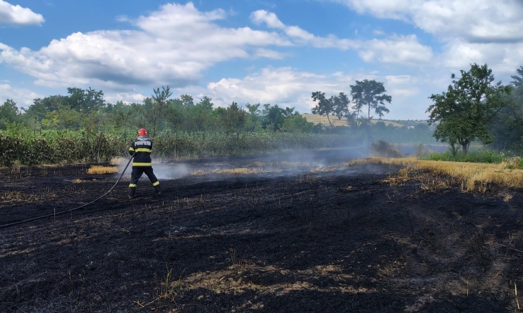 Incendii de vegetație în Dumbrava și Pleașa. Pompierii au intervenit cu mai multe autospeciale pentru stingerea flăcărilor