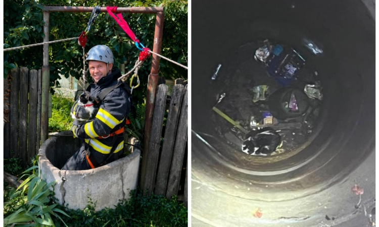 Final fericit la Perșunari. O pisică salvată de pompierii prahoveni după ce a rămas captivă la 15 metri adâncime într-o fântână