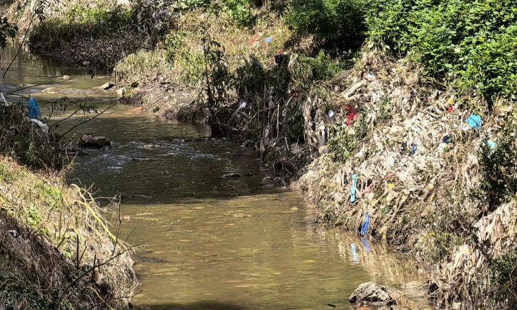 Viitura a trecut, dar a lăsat în urmă un pericol pentru sănătatea publică: pârâul Dâmbu, transformat într-un focar de infecție (video)