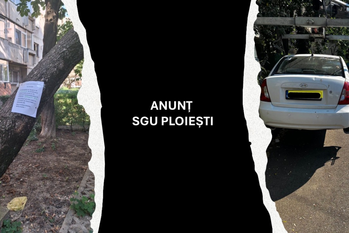 SGU Ploiești le cere șoferilor să își mute temporar mașinile din zonele unde sunt programate lucrări la arbori