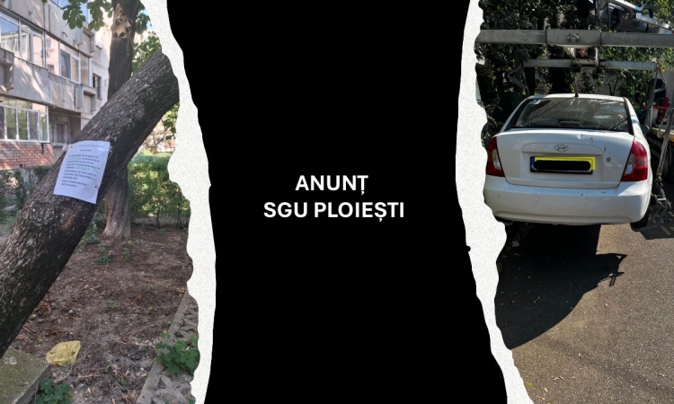 SGU Ploiești le cere șoferilor să își mute temporar mașinile din zonele unde sunt programate lucrări la arbori
