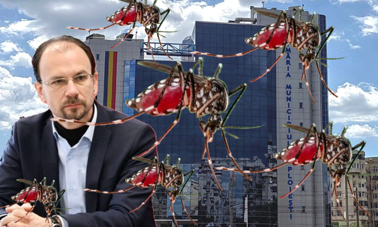 Ploieștiul, plin-ochi de țânțari! Pericolul nu este doar disconfortul, țânțarii pot transmite virusul West Nile