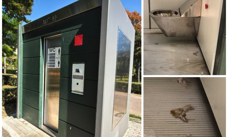 Cine curăță toaletele ”ecologice”, cu autocurățare, din Ploiești, care au costat zeci de mii de euro bucata?