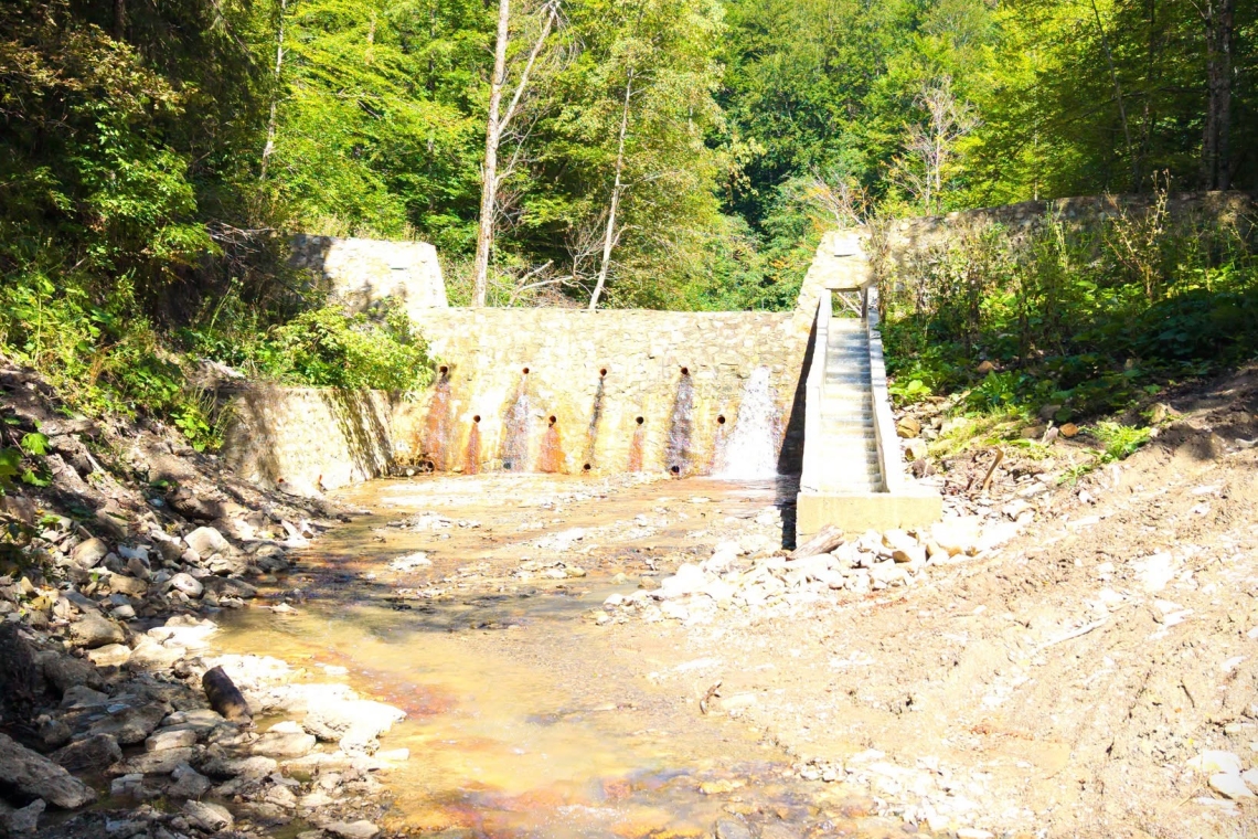Investiții pentru protejarea pădurilor și comunităților din Prahova, în fața viiturilor din zonele montane