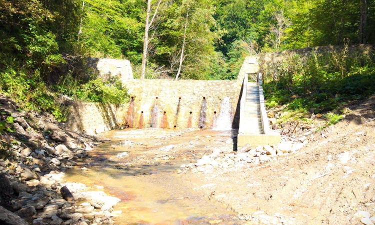 Investiții pentru protejarea pădurilor și comunităților din Prahova, în fața viiturilor din zonele montane