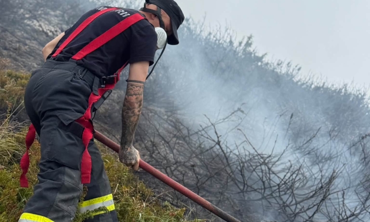 Șase hectare cuprinse de flăcări la Măneciu. Pompierii s-au luptat cu incendiile de vegetație în teren greu accesibil