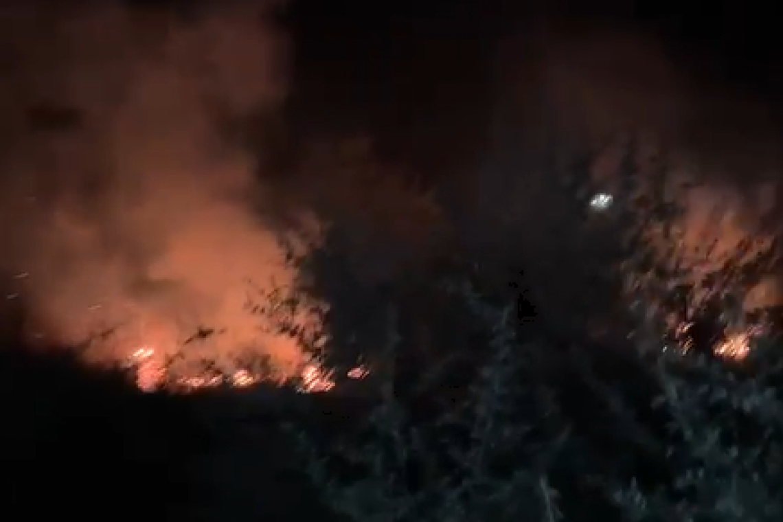 UPDATE | Incendiu de vegetație uscată pe aproximativ 20 de hectare, la Podenii Noi. Accesul pompierilor se face doar pedestru