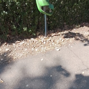 vandali3