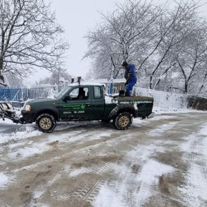 FB_IMG_1705754029269_edit_127082347261051