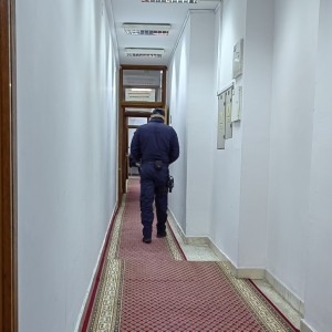 IMG_20240201_152647_edit_16026145562375