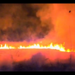 Screenshot_20240224_205153_com.huawei.himovie.overseas