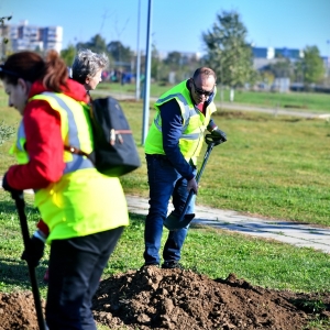 Draganescu_plantare