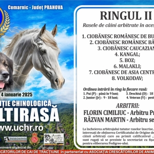 concurscainicomarnic2