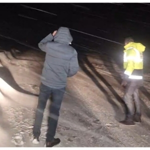 verificariDeszapNanu