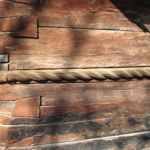 starchiojd6