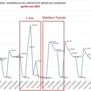 concedii_medicale