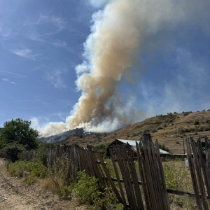 incendiuReleuUrlati