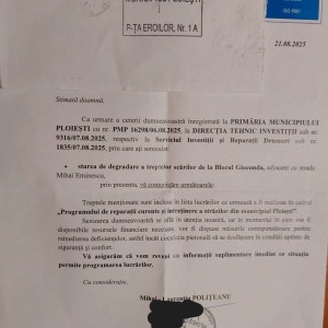 raspuns_primarie