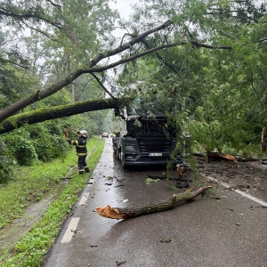 pompier_paulesti