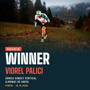 viorel_palici